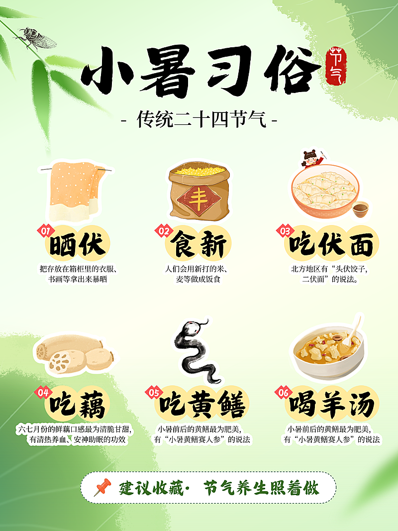 小暑习俗节气知识科普分享清新感小红书配图