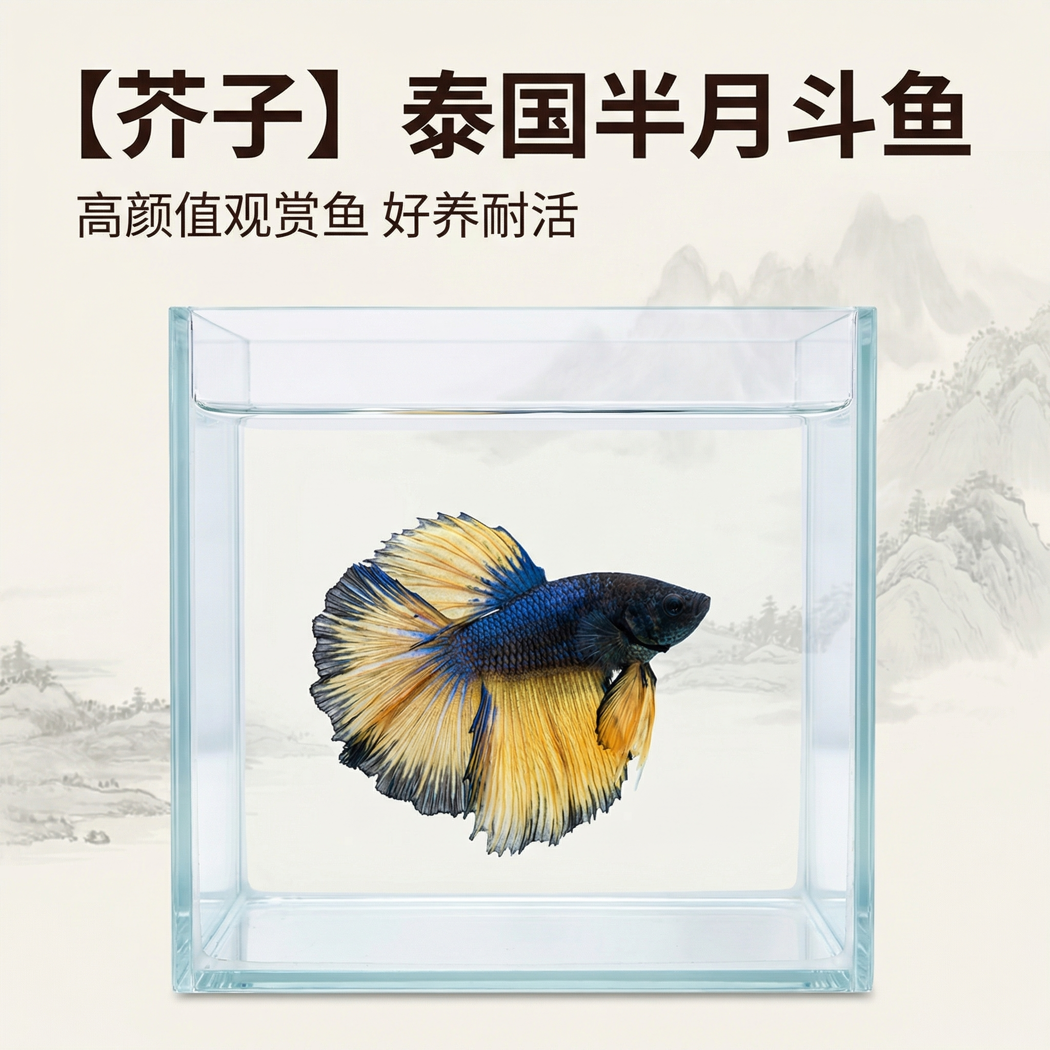 创意预览图