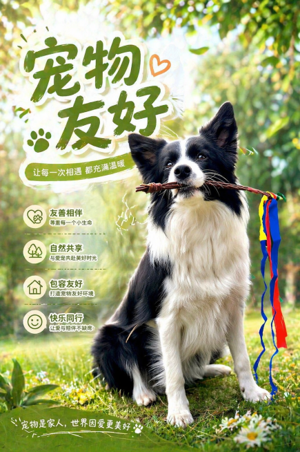 基于图中的边牧犬，生成一张宠物友好主题的海报，整体风格温馨清新，保留狗狗可爱的形象，添加主题文字"宠物友好"，背景为自然户外绿色场景，排版美观适合海报展示预览效果