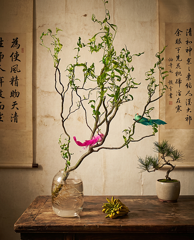 保留花瓶和龙柳植物主体，将背景更换为复古禅意风格，做整体修饰，营造古朴雅致的中式禅意氛围，色调偏暖做旧质感，背景简洁富有禅意，保持主体结构不变，避免变形扭曲，严格锁定宽高比为4:5