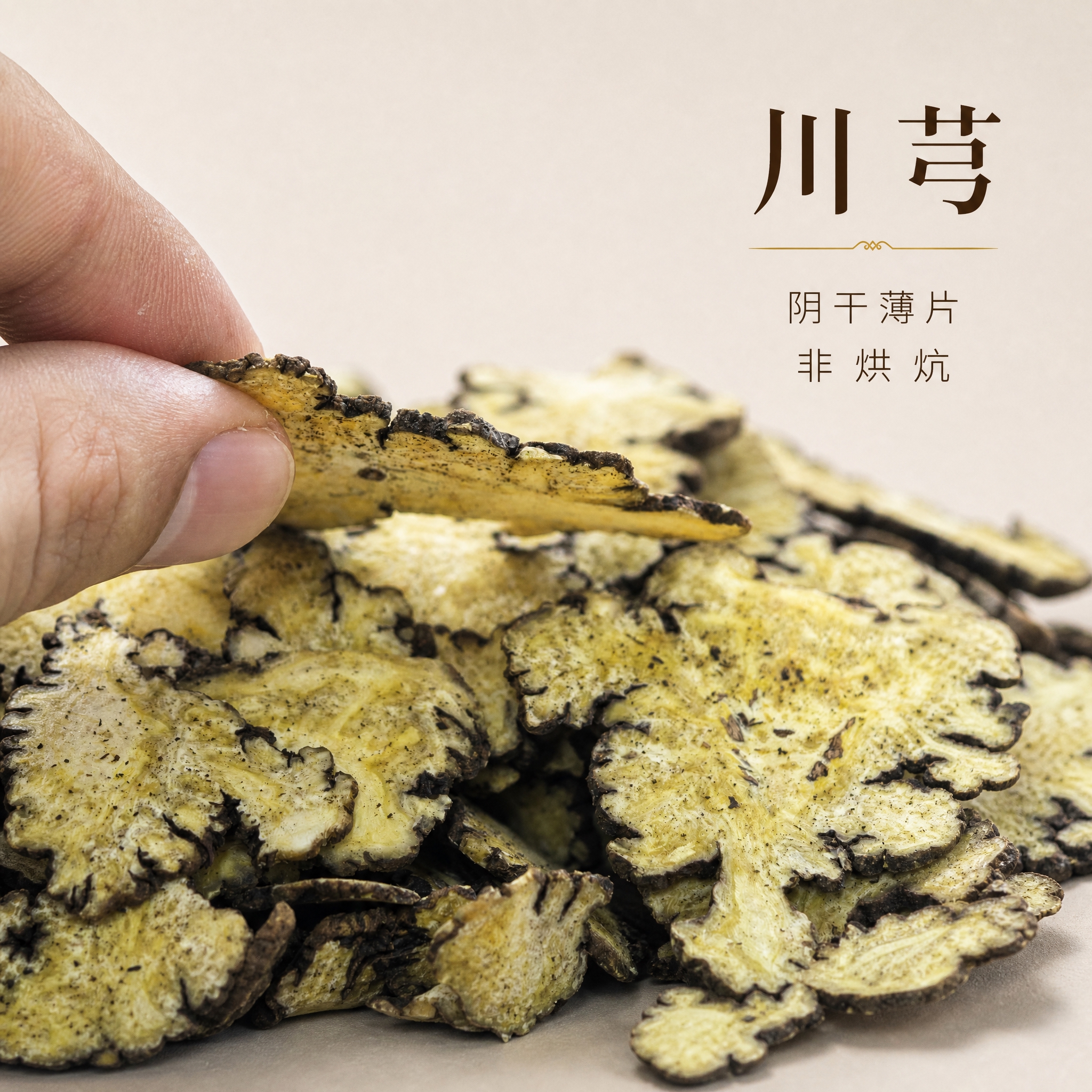 基于上传的川芎素材进行主图创作，严格使用上传素材，保持所有川芎… - 图片创意预览
