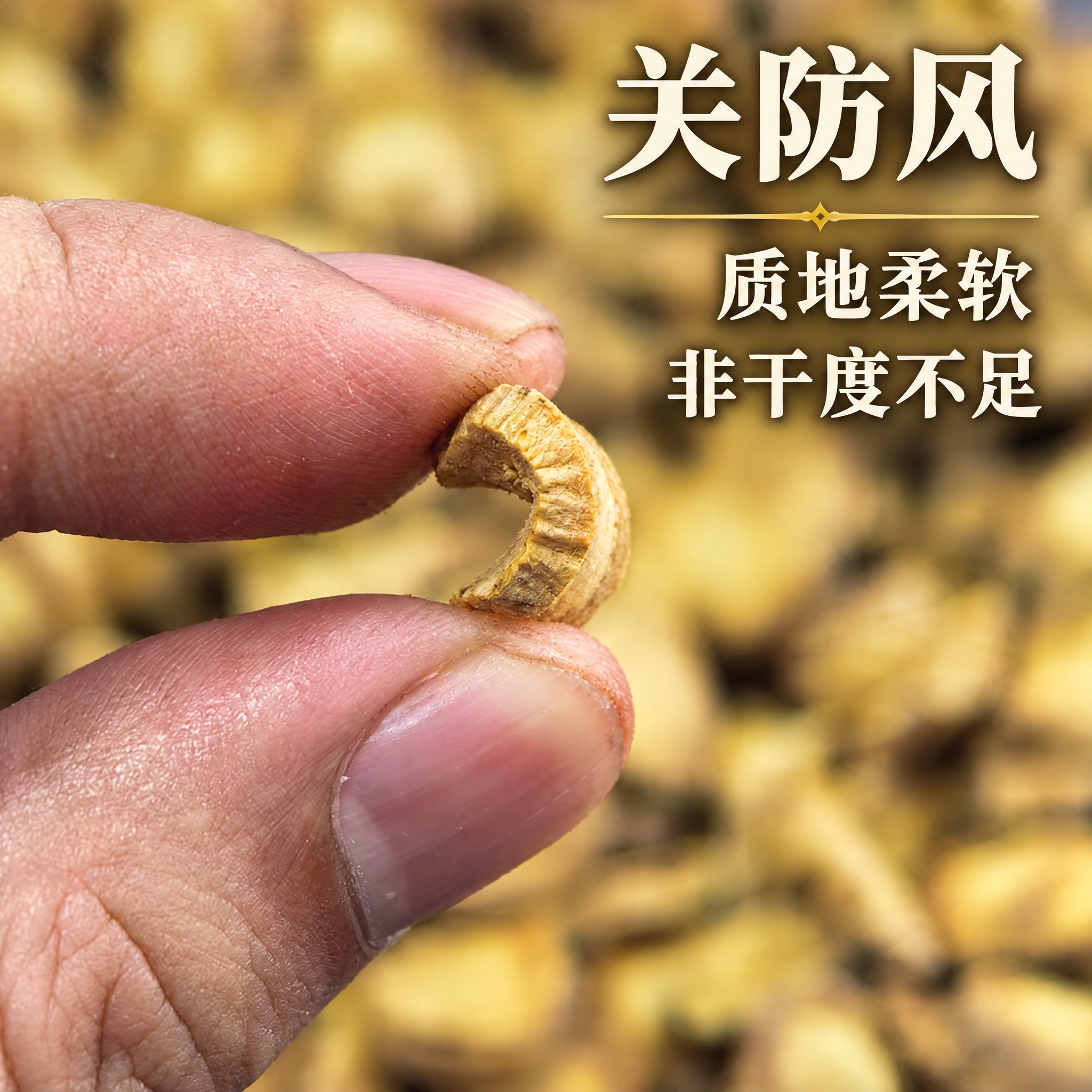 以上传的防风素材为基底制作中药材电商主图。严格保留原画面：手指… - 图片创意预览