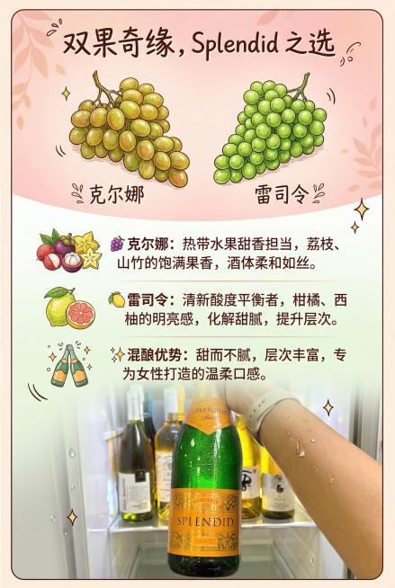 顶部是两颗葡萄（克尔娜、雷司令）的手绘插画，色彩鲜艳，分别标注名称。中部是三行核心卖点，用图标分隔：🍇 克尔娜："热带水果甜香担当，荔枝、山竹的饱满果香，酒体柔和如丝。" 🍋 雷司令："清新酸度平预览效果