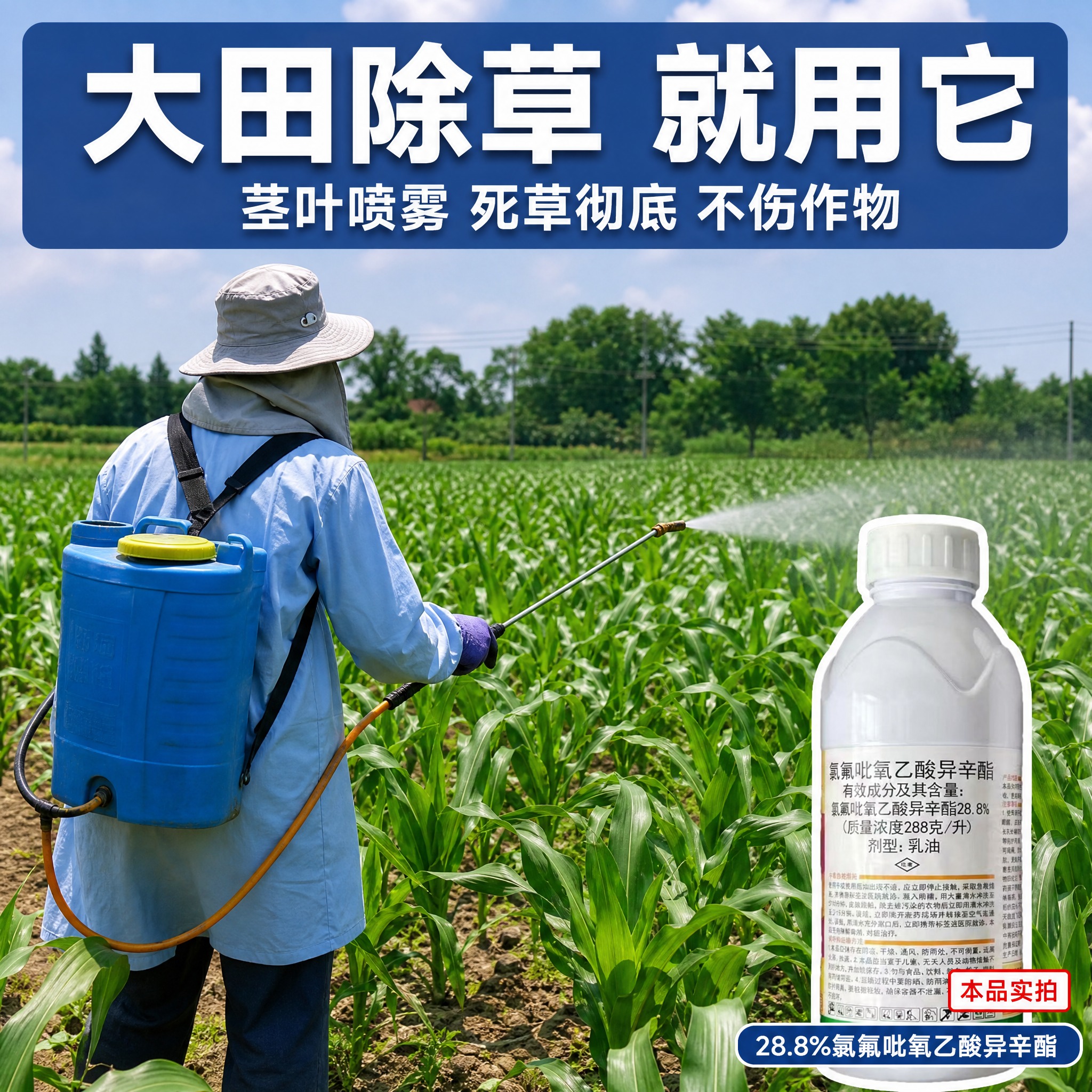 [主图-5] 使用场景实拍感 农田喷雾除草场景 展示真实使用环… - 图片创意预览