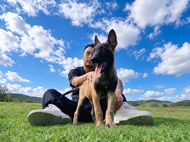 保持原图中男人和马犬小狗的位置和姿态不变，将背景替换为开阔的蓝天草地自然场景，输出横版图片，宽高比为4:3