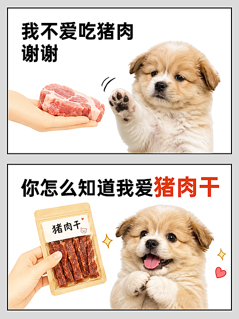 宠物零食行业产品种草趣味萌宠对比漫画小红书封面