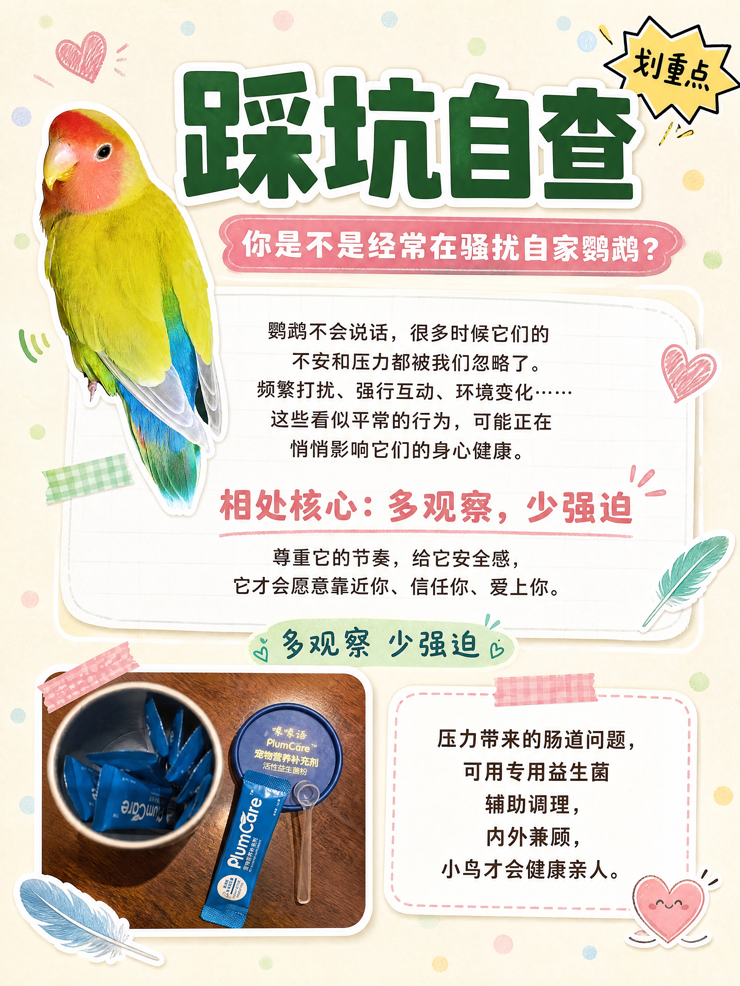 小红书笔记科普图文尾页，配图大字+手账拼贴风格，版式精美，小红… - 图片创意预览