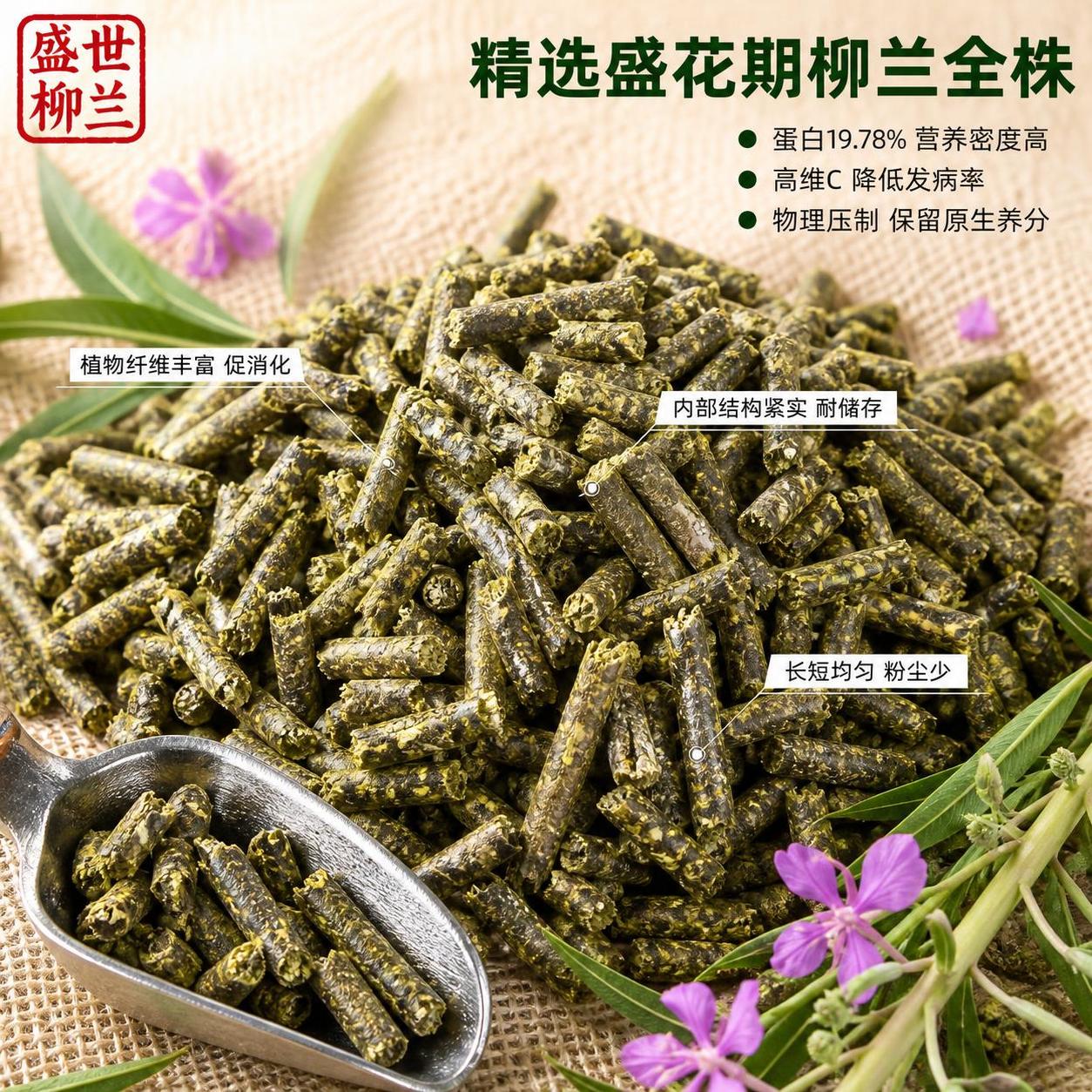 [主图-3] 柳兰原生颗粒微距细节特写 颗粒品质与盛花期全株原… - 图片创意预览