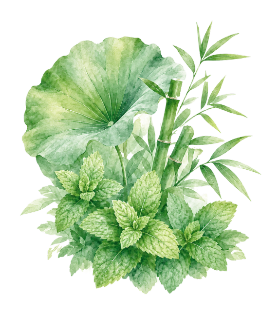 适当降低这幅植物水彩插画整体亮度，调整色彩饱和度和明度，让绿色自然清新，不刺眼，保持原构图和水彩风格，维持干净白色背景预览效果