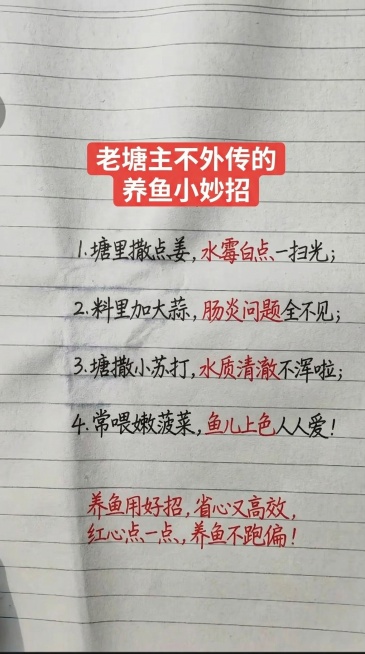 参照原图片的横格笔记本手写风格，全部替换文字内容为：标题“老塘主不外传的养鱼小妙招”，内容为：1.塘里撒点姜，<span style="color:red;">水霉白点</span>一扫光;2.料里加预览效果