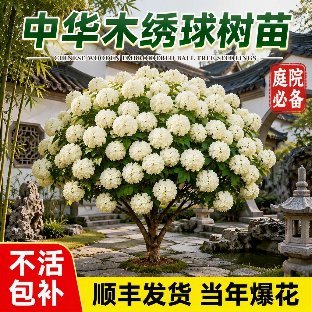 基于参考图修改，将背景替换为中式庭院场景，包含青瓦白墙、假山、… - 图片创意预览