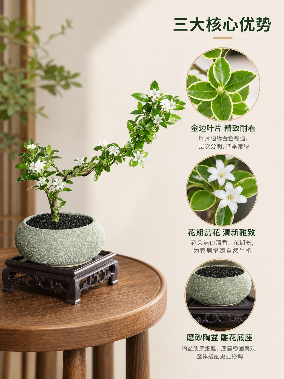 [主图-2] 卖点信息与细节展示，结合局部特写突出盆景的造型美… - 图片创意预览