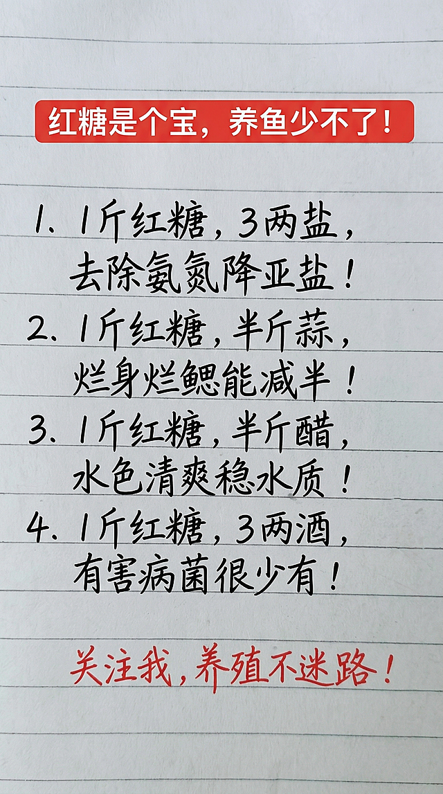 保持横条纹笔记本纸张背景，参照原图片字体和颜色排版布局，将文字内容一字不差全部替换为：红色顶部红框白色字体写着“红糖是个宝，养鱼少不了！”，下方黑色手写字体：1、1 斤红糖，3 两盐，去除氨氮降亚盐！ 2、1 斤红糖，半斤蒜，烂身烂鳃能减半 ！3、1 斤红糖，半斤醋，水色清爽稳水质 ！4、1 斤红糖，3 两酒，有害病菌很少有！底部红色手写字体：关注我，养殖不迷路！整体排版布局合理，保持原手写质感和风格。