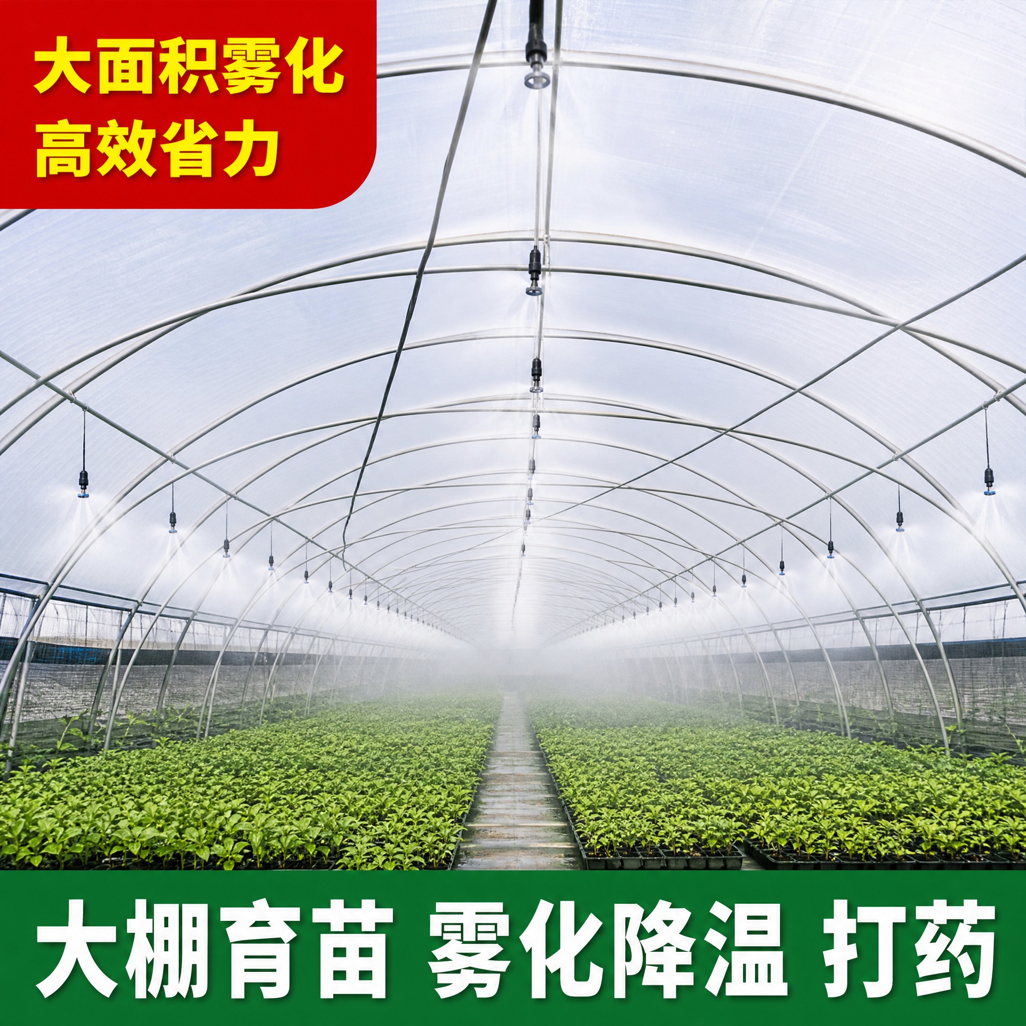 电商主图，大棚内部全景，拱形棚架上整齐吊挂着一排排微喷喷头，正… - 图片创意预览