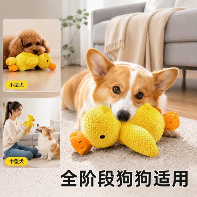 [主图-4] 黄色鸭鸭宠物玩具场景适配展示。
[氛围风格] 生活化多场景展示，真实自然
[画质] 商业摄影质感，光线柔和通透，产品清晰真实，画面干净高级
[元素] 主场景是客厅地面，中型犬柯基趴在地上预览效果