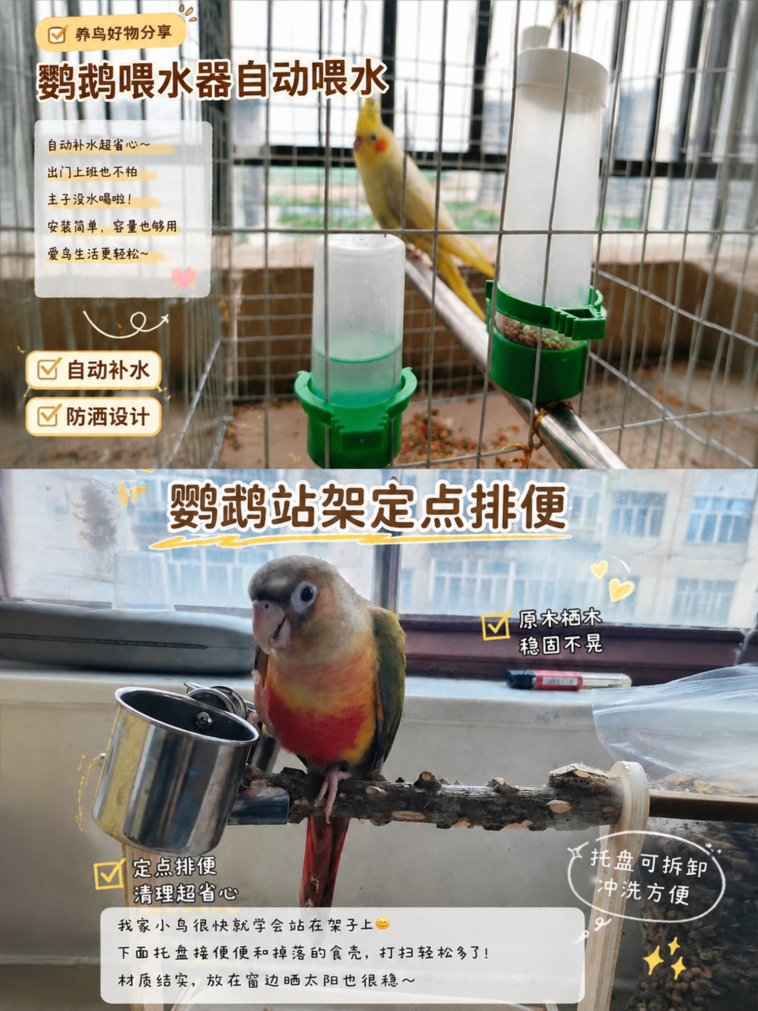 将两张鹦鹉图片进行上下拼接拼图，上方为玄凤鹦鹉在鸟笼中的图片，… - 图片创意预览