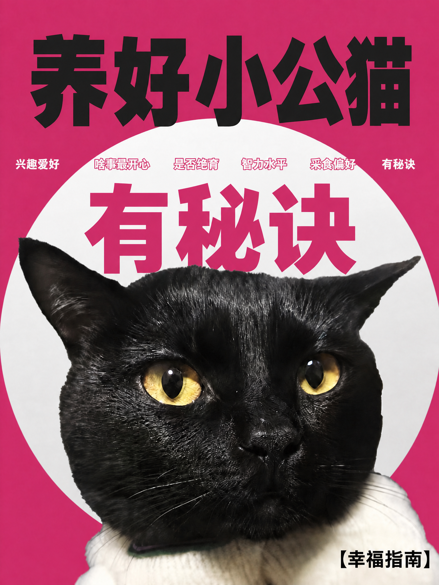 稿定 AI 图片作品 - 图片创意预览
