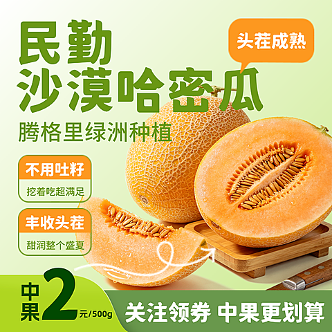 甘肃民勤哈密瓜 水果生鲜食品电商零售主图