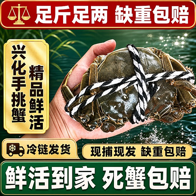 [单张主图] 兴化鲜活大闸蟹 拼多多爆款促销感主图 1:1 复刻参考图版式逻辑 突出鲜活足重与服务保障 强点击高转化。
[参考比对] 参考图为大闸蟹爆款主图，版式特征：顶部红色圆角通栏放服务承诺大字，中部为手托大闸蟹的产品主体特写，左下角金色竖排大字背书，底部多层信息条依次为冷链发货标签、现捕现发承诺条、死蟹包赔绿色底通栏；整体红金配色、信息层级分明、促销感强。本次生成保留该参考图的版式结构与信息层级逻辑，但产品替换为兴化鲜活大闸蟹，文案全部替换为本品卖点，背景改为深墨绿色渐变+水面波光+芦苇剪影的产地氛围，不使用纯黑背景，增强鲜活产地感。
[画面主体] 画面中心偏右为一只被手托举的鲜活大闸蟹特写，蟹身饱满青壳白肚金爪黄毛，用黑白棉绳十字捆绑，蟹壳油亮带水珠，鲜活有张力；手为成年男性右手，自然托住蟹身底部，手指干净有力，仅露出手掌与部分手指衬托蟹的大小。产品外观、颜色、捆绑方式、蟹壳纹理与输入产品图保持一致，不得变形、缺腿、穿模。主体占画面约55%-65%，位于画面中右区域，不被文字遮挡关键部位。
[构图版式] 采用「顶部大标题+中部产品主体+左侧竖排背书+底部多层权益条」的顶部大标题型爆款版式。顶部25%为红色圆角通栏主标题区；中部55%为产品主体与左侧竖排大字背书；底部20%为三层信息条，从上到下依次是：冷链发货圆角标签、现捕现发金色承诺条、死蟹包赔绿色通栏。
[场景元素] 背景为深墨绿色到墨绿色的径向渐变，模拟湖面深水感，点缀细微水波纹光效与芦苇剪影轮廓，营造兴化水乡产地鲜活氛围，背景虚化不抢主体。产品下方有柔和水面倒影与轻微水花飞溅效果，增强鲜活感。左上角可加小天平图标，呼应足重承诺。整体信息密集但分组清晰，促销感强。
[文案版式] 顶部红色圆角通栏内白色粗黑大字：「足斤足两 缺重包赔」，左侧配小天平图标，字大醒目。左下角金色渐变底竖排区域，竖排两行粗黑大字：第一行「兴化手挑蟹」，第二行「精品鲜活」，字体厚重有力量。底部第一层左侧金色圆角标签：「冷链发货」配小货车图标。底部第二层米黄色圆角条：「现捕现发 缺重包赔」黑色粗字。底部第三层深绿色通栏：「鲜活到家 死蟹包赔」白色超大粗字，最醒目。所有文字清晰可读，不遮挡蟹身主体，主标题最大，底部绿色通栏字第二大，辅助文字缩小。
[光影质感] 商业摄影质感，主光从左上方打来，蟹壳高光油亮，水珠晶莹，腹部白肚干净有层次，手部皮肤真实自然；阴影柔和落在下方水面，整体通透有食欲感，鲜活有张力，景深适中，主体清晰背景虚化。
[配色字体] 主色：正红（顶部通栏）、深墨绿（背景）、金色（背书与承诺条）、白色（主标题字）、深绿（底部通栏）；强调色：金黄、米白。字体全部使用粗黑体/无衬线体，字重对比强烈，主标题超粗，辅助文字中等字重，数字与关键词放大。整体拼多多爆款风格，大字直白，性价比与品质感兼具。
[比例分辨率] 1:1正方形，2K分辨率，文字清晰可辨，产品细节锐利。
[负向提示词] 变形 缺腿 穿模 错字 糊字 水印 平台logo 伪logo 主体模糊 背景杂乱 低清晰度 畸形手 多余手指 蟹身发臭发黑 死蟹 卡通蟹 非大闸蟹品种 悬浮 硬切边缘