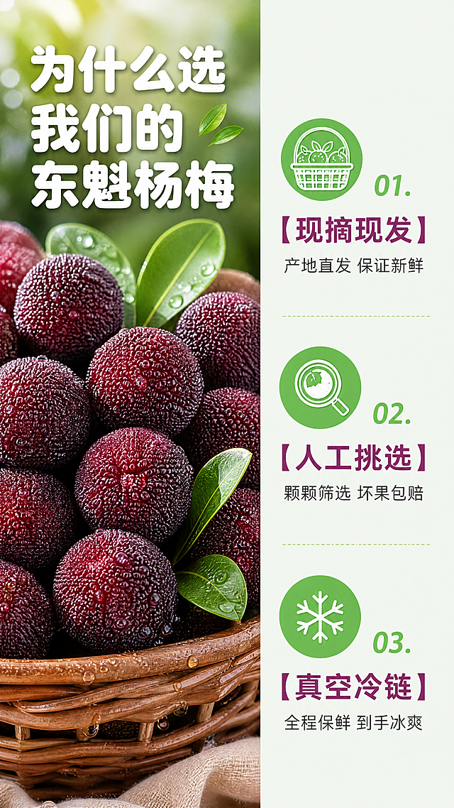 [第6屏] 东魁杨梅核心卖点拆解说明屏。
[氛围/风格] 信息清晰，简洁明了，自然清新风格，商业设计感。
[元素布局] 画面左侧放置整篮东魁杨梅作为主体视觉，占据画面约50%宽度，果实带叶带水珠，保持新鲜外观。画面右侧纵向排列三大核心卖点，每个卖点配圆形小图标，顶部大标题，整体排版左重右轻，平衡舒适。
[光影质感] 左侧杨梅柔和自然光，色彩饱和真实，右侧信息区干净背景，整体明暗均匀，文字清晰。
[配色色系] 全局底色：#F2F8F0（浅草绿）；主体配色：#7B2F71（杨梅）+ #62B957（图标绿）+ #FFFFFF（文字）；延续首屏配色方案。
[视角构图] 左图右文，左右分栏，9:16竖版构图，信息层级清晰。
[文字版式] 顶部大标题「为什么选我们的东魁杨梅」，放在左图上方位置，白色圆角粗体字（沿用首屏字形字色字效）。右侧三个卖点，每个卖点带图标和文字：1. 【现摘现发】产地直发 保证新鲜；2. 【人工挑选】 颗颗筛选 坏果包赔；3. 【真空冷链】 全程保鲜 到手冰爽。每个卖点编号清晰，行距充足，容易阅读。
[比例分辨率] 9:16竖版比例，1080x1920，4K分辨率，文字清晰可辨，超高清。
[负向提示词] 果实变形，颜色偏差，文字重叠错乱，水印，背景杂乱