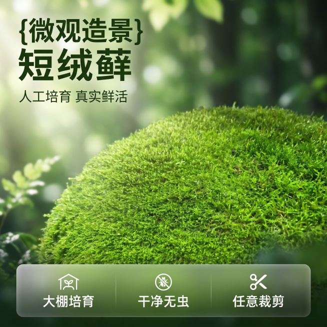 [主图 1] 微观造景短绒藓产品首图，自然丛林风格。保持短绒藓产品外观、物理结构、材质质感和颜色与输入产品图绝对一致，杜绝任何变形和色差，精细化处理。整片短绒藓苔藓居中展示，背景是朦胧深浅不一的绿色丛预览效果