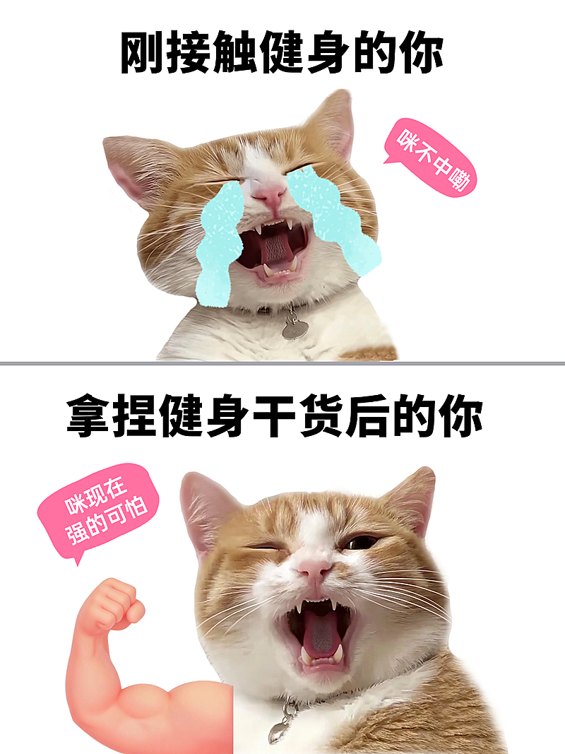 爆款趣味健身对比梗图小红书封面
