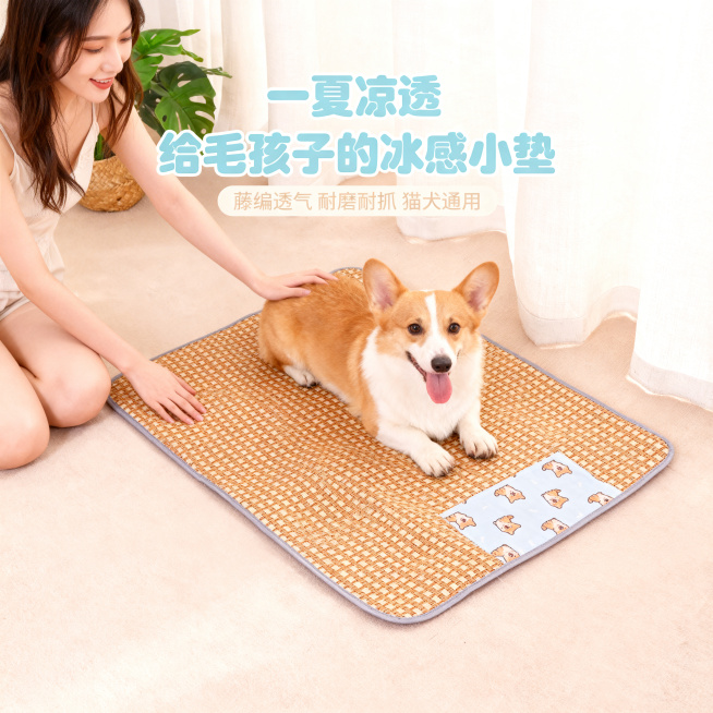 轻奢萌系温馨居家风格，高清商业摄影，暖调自然光加夏日清透柔光，奶油风卧室场景，浅米色地毯加白色纱帘，30岁左右气质温柔的年轻女性跪坐地毯上，手轻抚趴在棕黄色藤编纹理凉席垫上的吐舌柯基犬，凉席垫有浅蓝卡预览效果