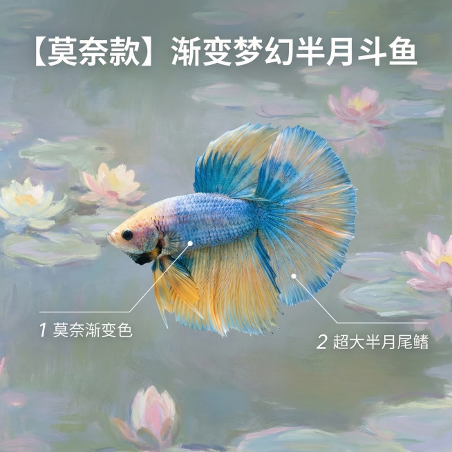 [主图 2] 泰国半月斗鱼核心细节展示，融合莫奈睡莲印象派风格
[氛围风格] 清新朦胧莫奈色调，睡莲池塘艺术氛围
[画面元素] 商业摄影质感、光线柔和通透、产品清晰真实、画面干净高级。保留原图斗鱼外观预览效果
