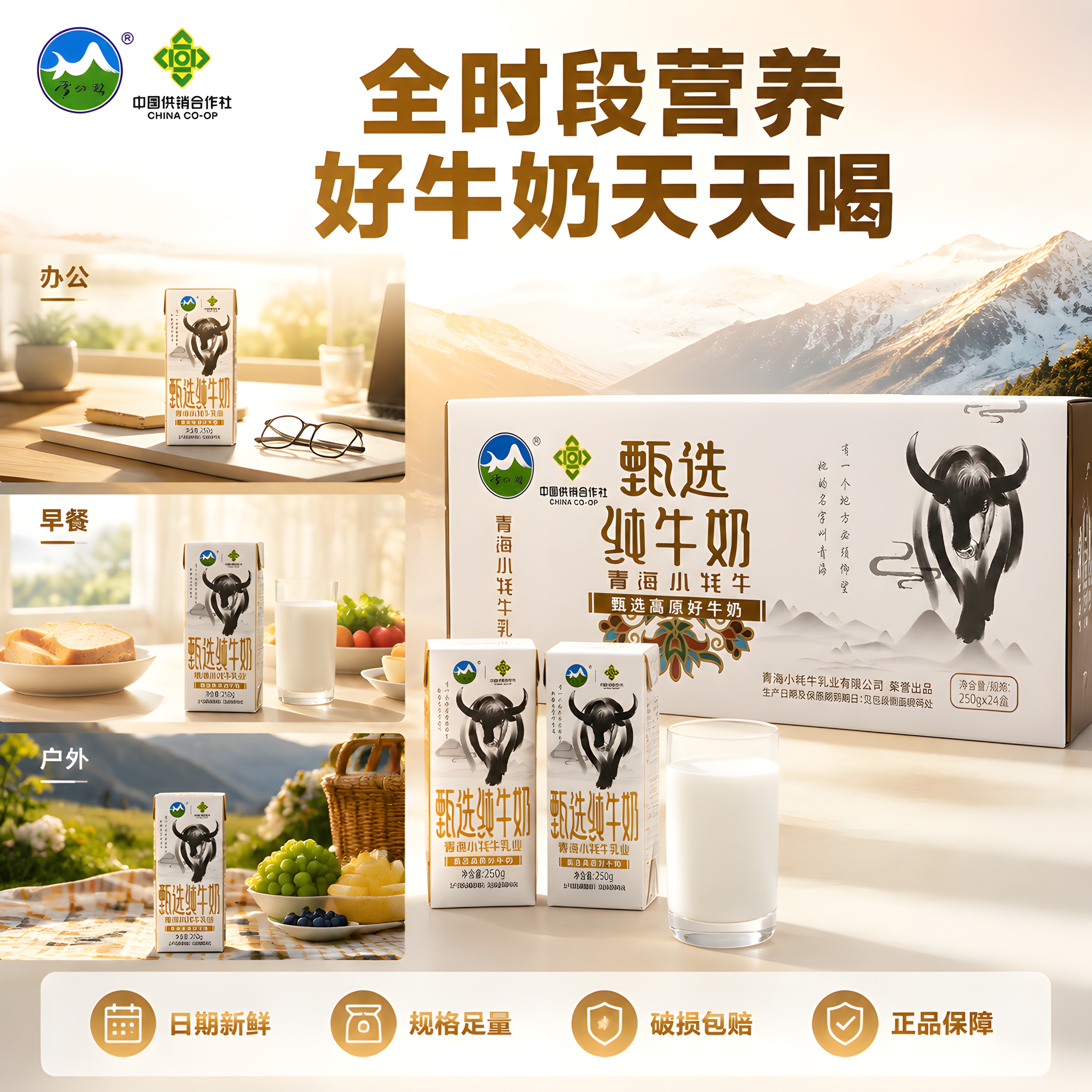 [主图-6] 多场景饮用与品质生活 全时段营养 品牌信任 [统… - 图片创意预览
