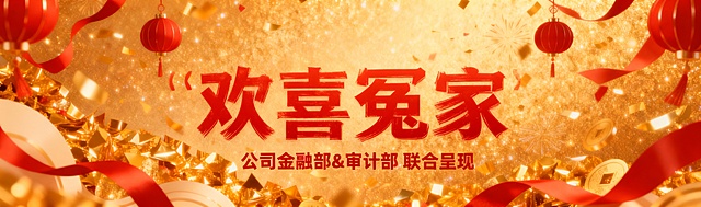 加一个副标题：公司金融部&审计部  联合呈现