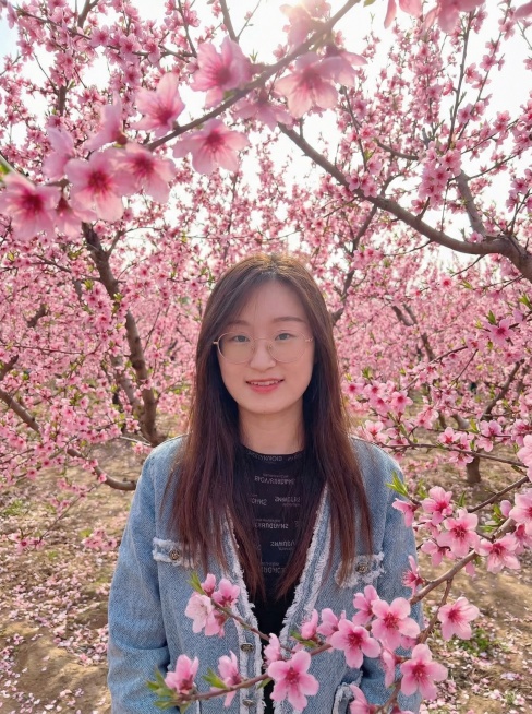 将背景替换为满是桃花的场景，高度还原人物形象预览效果