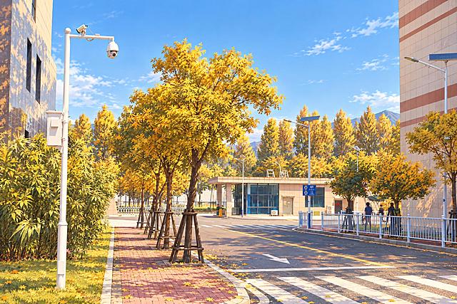 将这张照片重绘为动漫风格，保留原场景的道路、建筑、树木、路灯和大门的整体构图布局。营造秋季氛围：天空晴朗少云，不要太多云朵；树木叶子泛黄，呈现秦岭淮河山区秋季那种金黄色调；地面上散落适量的金黄色落叶，不要过多；整体色调温暖明亮，日系动漫插画风格，细腻的光影，高画质
