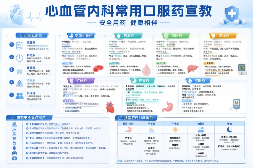 这是一张医疗科普宣教海报，尺寸为180厘米*120厘米横版，整体为专业简洁的医疗风格，主色调为干净的浅蓝白色，清晰分区排版。画面顶部用大字体标注主标题："心血管内科常用口服药宣教"，副标题为："安全用预览效果
