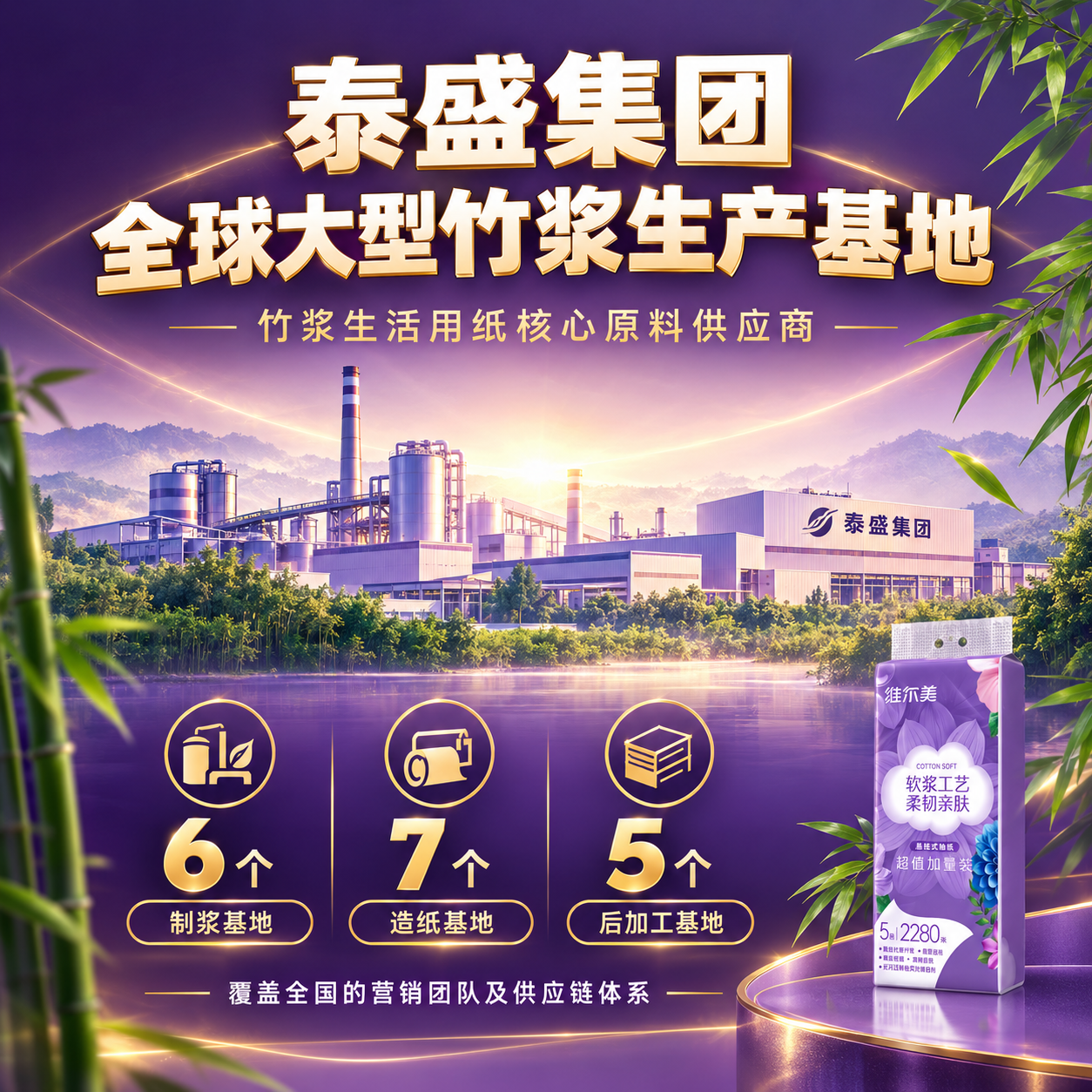 [主图-4] 轮播图-品牌实力与工厂背书，突出泰盛集团大品牌实… - 图片创意预览