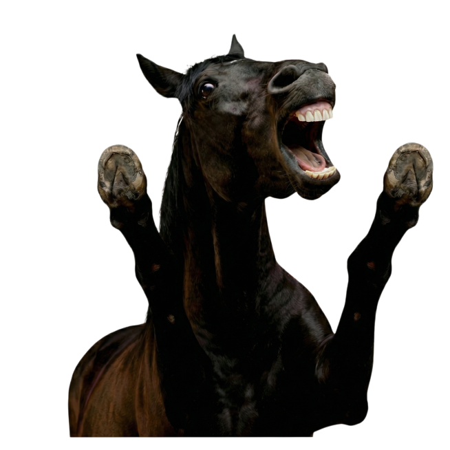 牙齿的白色在自然点，不用太白预览效果