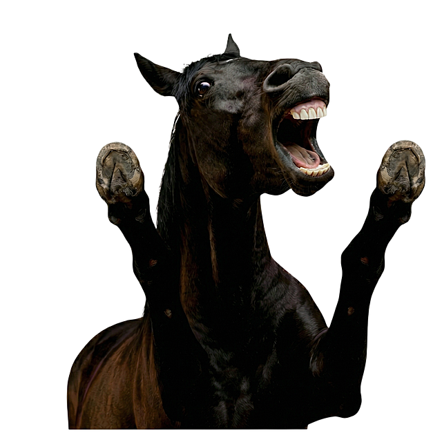 牙齿的白色在自然点，不用太白