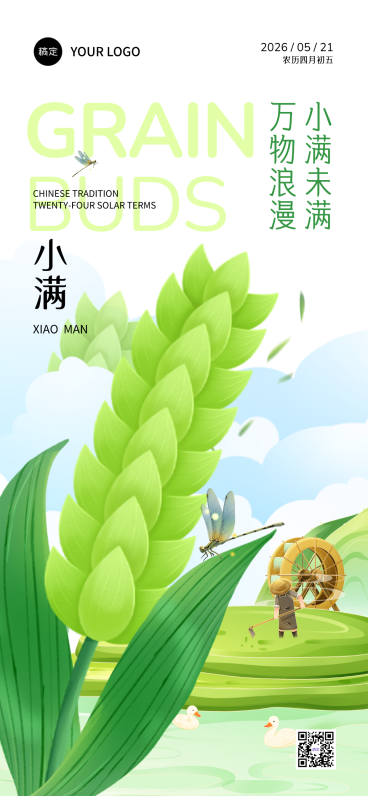 小满节气麦穗特写国风全屏海报预览效果
