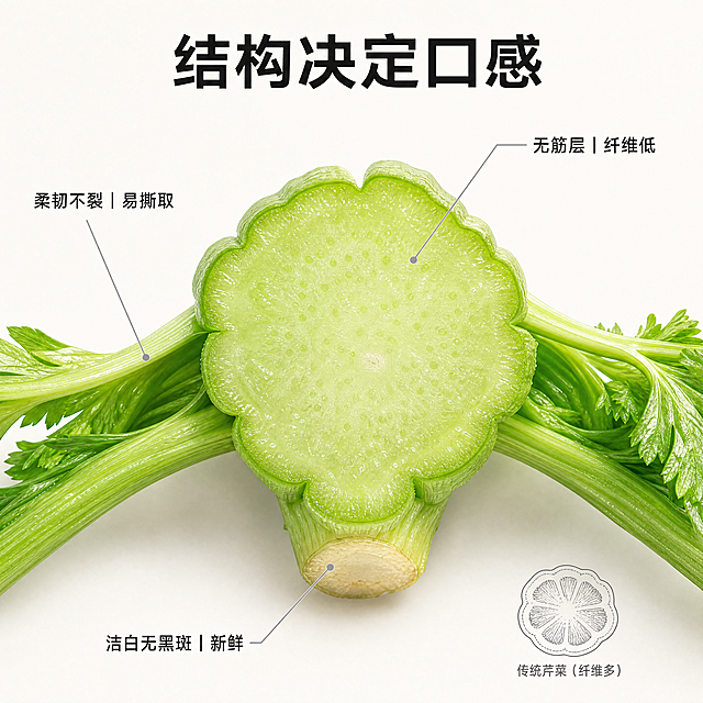 [第3屏] 结构解析屏-水果芹菜关键部位引线标注图。[氛围/风格] 显微级商业摄影风，高清微距+柔光打底, 突出物理结构优势。[元素布局] 【图1】茎秆中段横切面居中放大（占画面50%），清晰展示内部无筋层结构；左侧引线1指向茎秆横切面：「无筋层｜纤维含量低」；引线2指向叶柄连接处：「柔韧不裂｜易撕取」；引线3指向根部截面：「洁白无黑斑｜新鲜标志」；背景为浅米白哑光纸面，右下角加小图示意传统芹菜横切面对比（仅轮廓，不抢主图）。[光影质感] 顶光+侧逆光组合，突出切面纹理与水分光泽；引线细银灰线，末端带小箭头，文字悬浮于线端。[配色色系] 全局底色#FAF9F6（米白纸）；主体绿色#4CAF50；引线#CCCCCC；标注文字#212121。[视角构图] 微距俯视，焦点精准落在横切面；引线呈放射状分布，避免交叉。[文字版式] 标注文案每条≤8字, 字号5.5%，清晰悬浮不压主体；主标题「结构决定口感」置于顶部居中，10%字号, 黑体。[比例分辨率] 1:1 方图, 1400×1400像素, 4K超清。[负向提示词] 切面结构错误、筋络虚构、颜色失真、引线混乱、文字遮挡主体、背景花哨、产品比例失调、水印。