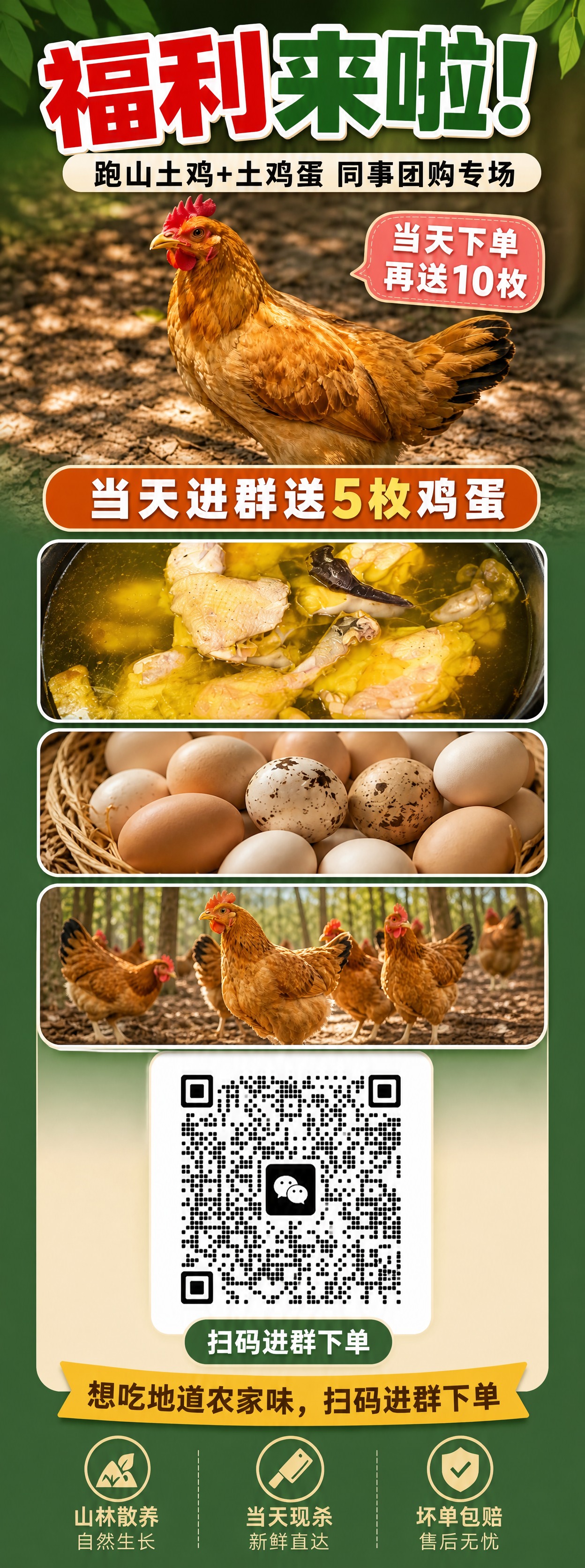 基于参考海报进行改版优化，具体修改要求如下： 【尺寸调整】海报… - 图片创意预览