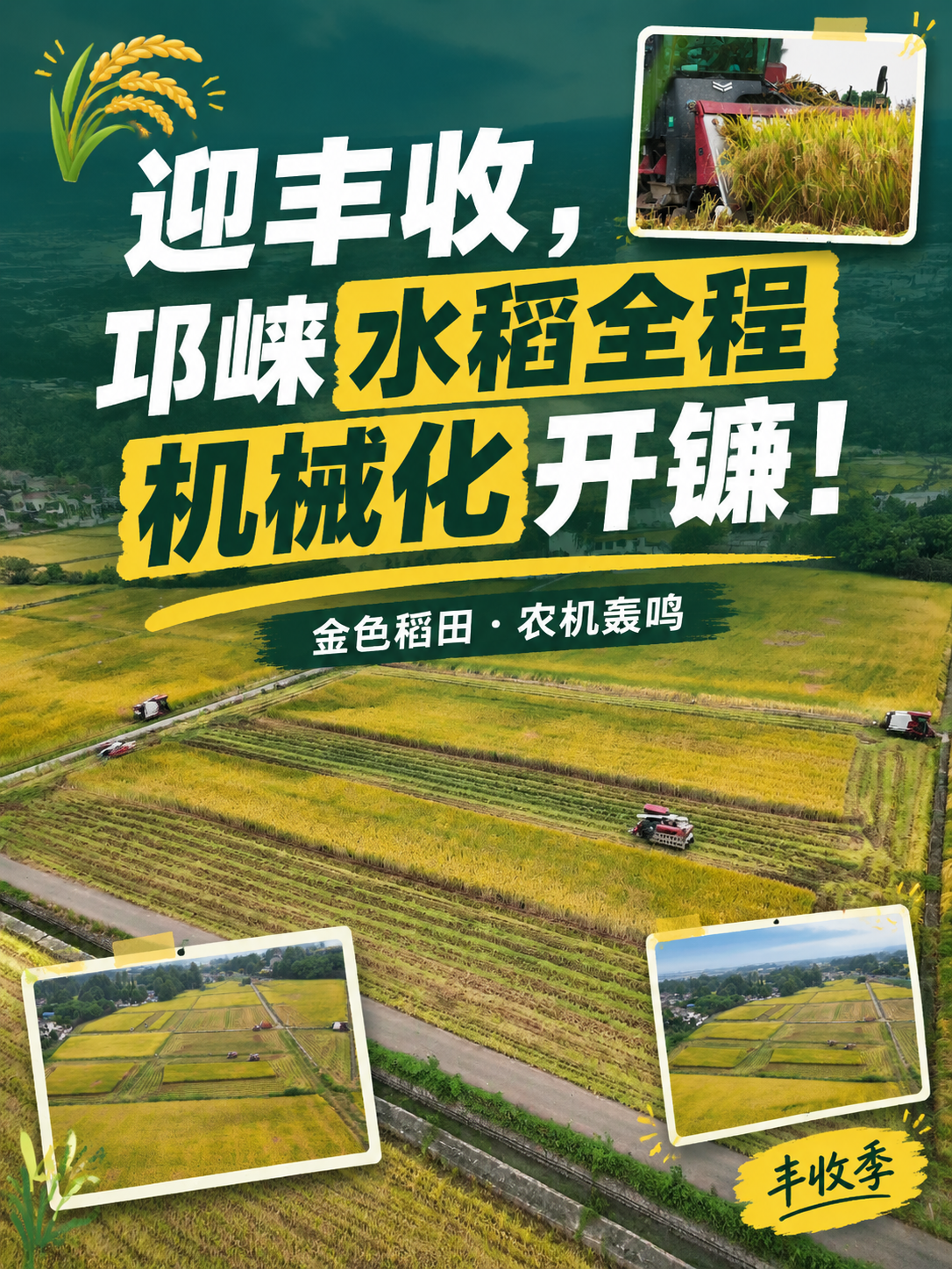 小红书笔记大字封面，配图大字，杂志海报风，版式精美，小红书笔记… - 图片创意预览