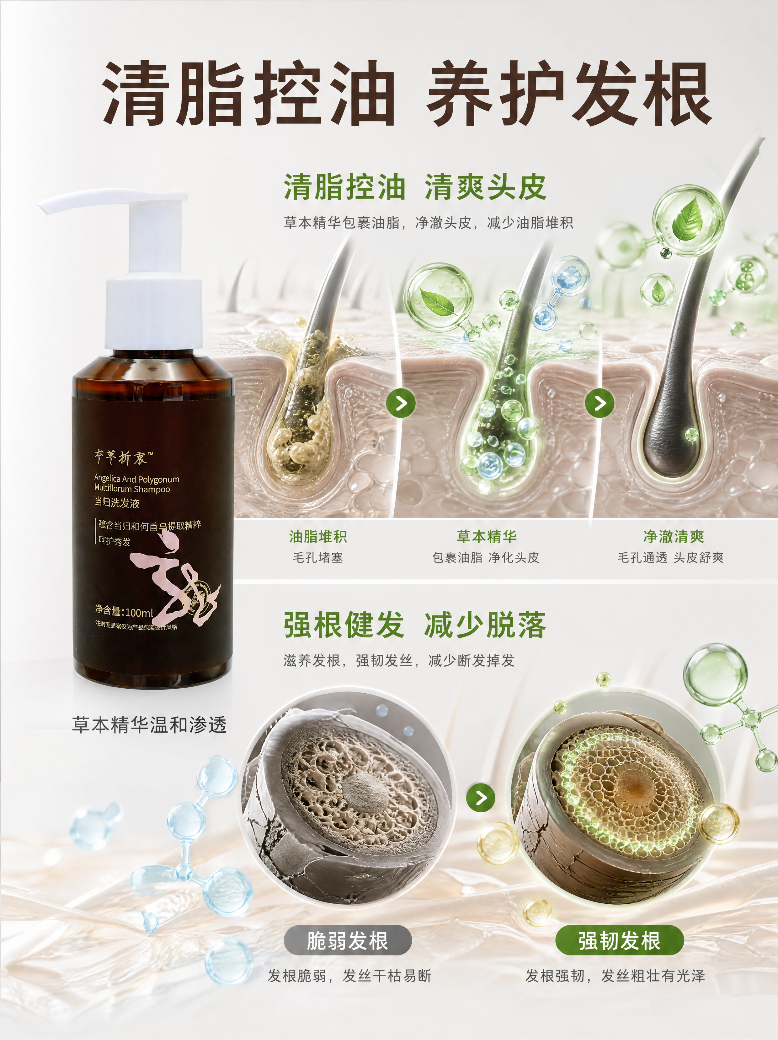 [第4张] 详情页核心功效机理-当乌洗发液清脂控油养护发根示意… - 图片创意预览