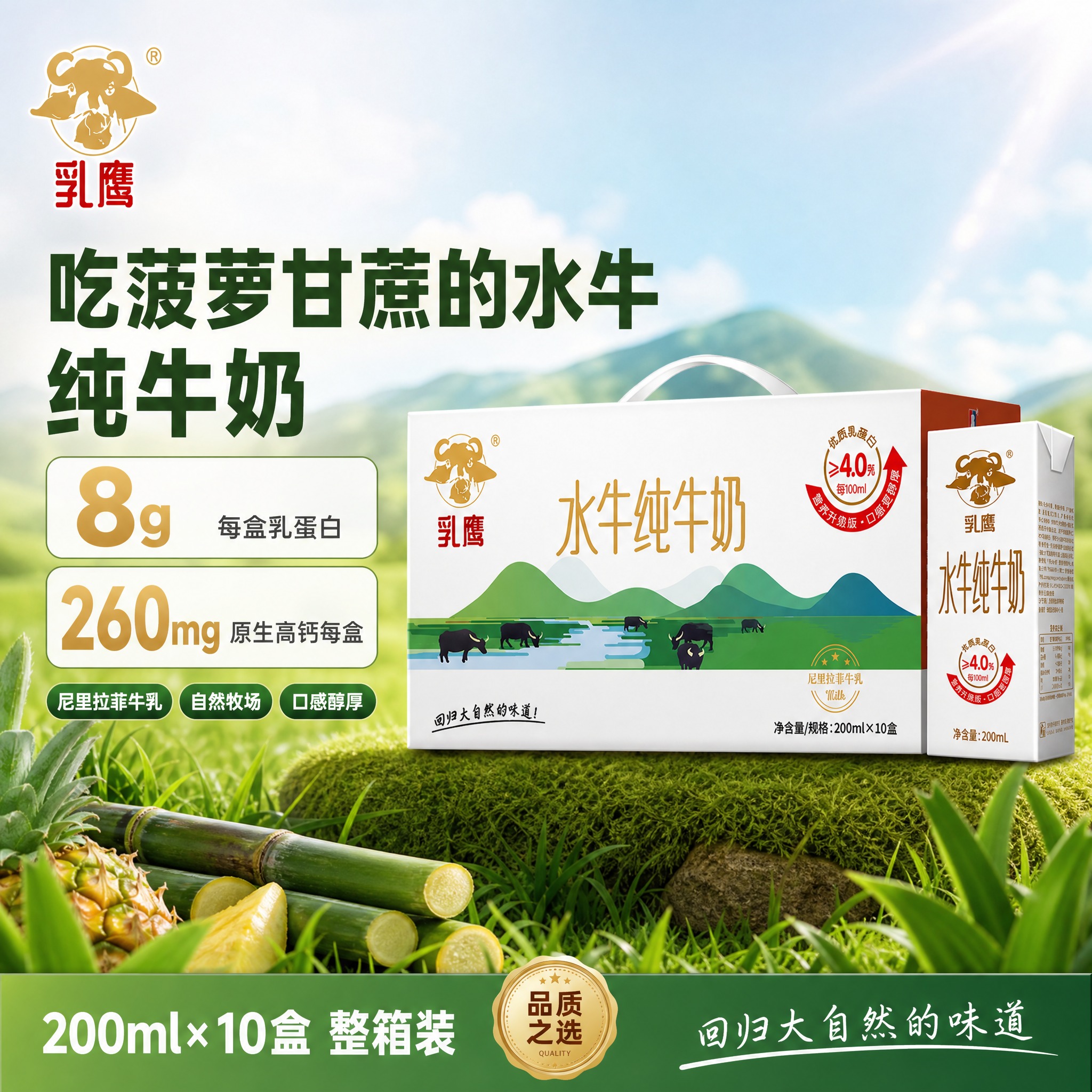 [单张主图] 乳鹰水牛纯牛奶 爆款促销感主图 1:1 淘宝/天… - 图片创意预览