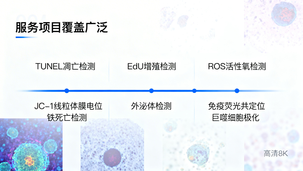 白色背景，科技蓝主色，极简矩阵排版，专业科研风格，电商详情页设计，高清8K，无水印，背景虚化多通道免疫荧光显微图，标题：“服务项目覆盖广泛”，中间分栏排版展示文字：“TUNEL凋亡检测”“EdU增殖检预览效果