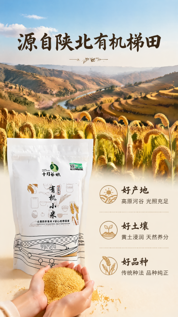 [第2屏] 陕北产地优势展示-十月谷娘有机小米产地专屏。本屏使用【图1】作为商品主体，保持包装袋外观结构和颜色一致。
[氛围/风格] 原生态自然风，清新开阔氛围感，真实摄影质感，突出产地天然环境优势。预览效果