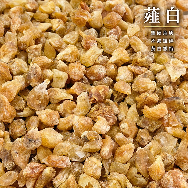 基于上传的薤白素材进行主图创作，严格使用上传素材，完整保留原图中薤白颗粒的形态、大小、数量、黄白至金黄色的自然色泽、表面皱缩与坚硬角质的质感、颗粒密集堆铺满画面的分布与各自位置、俯视近景构图与柔和光影，绝不变形、不改色、不减少颗粒数量、不改变颗粒形态与分布、不添加任何原图没有的物体或元素。

画面构图：薤白颗粒密集堆铺满整个画面形成饱满的产品特写，前景颗粒的皱缩纹理与角质质感清晰锐利，背景自然虚化。

光线与质感：柔和的自然光从上方照射，颗粒角质质感、皱缩纹理与黄白色泽清晰可见，整体光影干净通透，质感真实。

文字排版：在画面右上角叠加醒目的文字排版，主标题「薤白」使用高级宋体或轻衬线体，白色，带明显深色阴影，字号很大、醒目大气，字间距宽松；主标题下方放置一条细细的金色装饰线；装饰线下方放置三行卖点小字，第一行「坚硬角质」，第二行「不易捏碎」，第三行「黄白皱缩」，细黑体或轻衬线体，白色，带明显深色阴影，字号很大、清晰可读，行间距宽松，排版克制精简，高级感十足。

整体风格：真实、克制、高级，突出薤白坚硬角质与黄白皱缩的典型特征。

1:1 比例，2K超高清画质，细节丰富清晰。