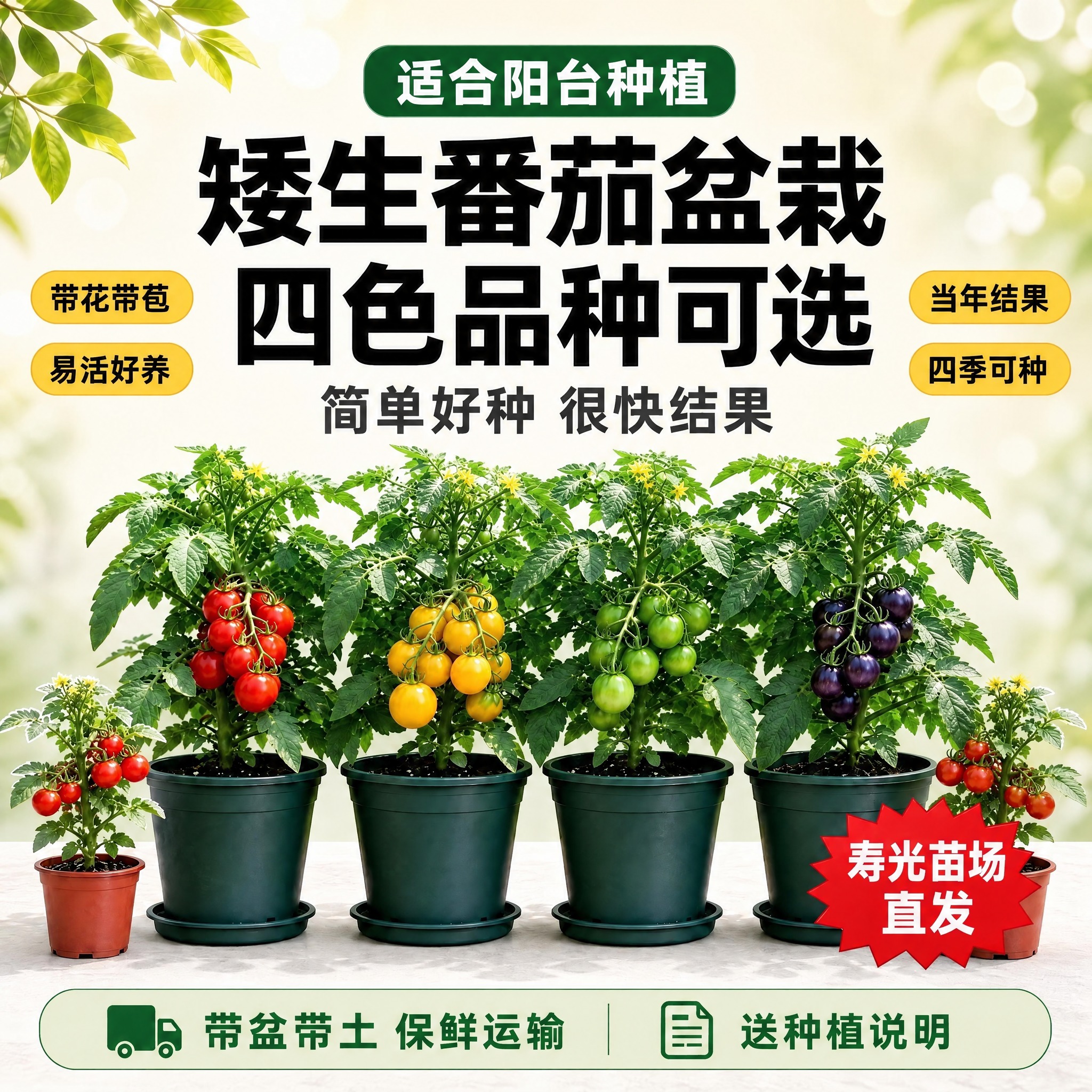 修改图中三处文字，其他保持不变：1. 顶部绿色框内的“阳台种植… - 图片创意预览