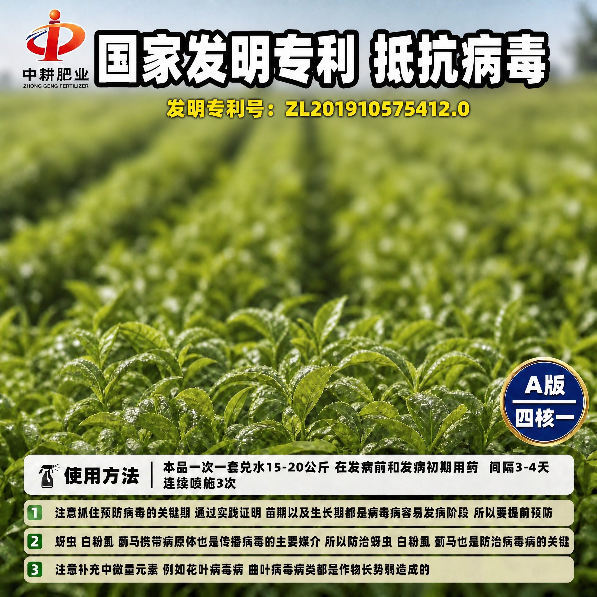 将"国家发明专利 抵抗病毒"标题字体再放大两号，占满整行宽度，… - 图片创意预览