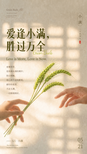 521小满节气极简光影海报：爱逢小满预览效果
