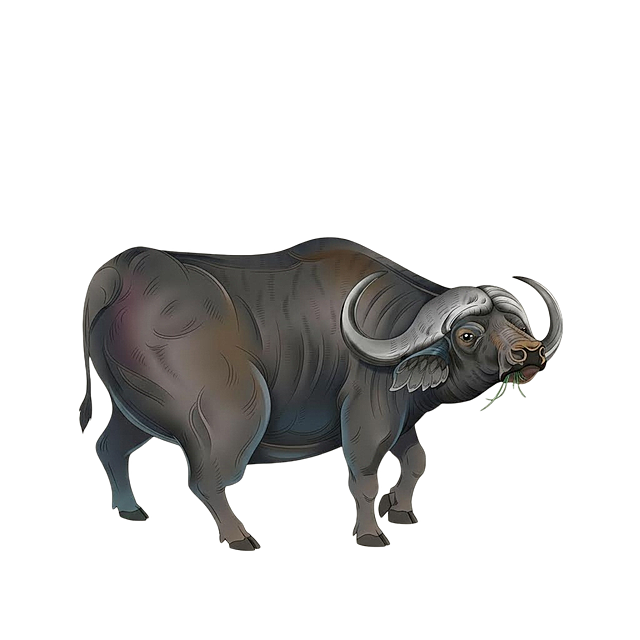 抠出中间这头水牛