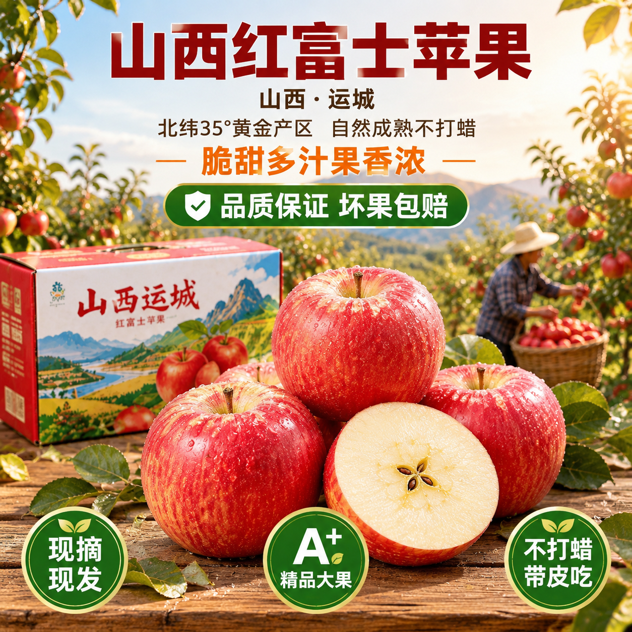 [主图-5] 果农采摘果园场景主图，突出品质保证坏果包赔的服务… - 图片创意预览